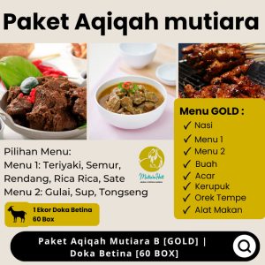 Paket Aqiqah Murah Mutiara B [GOLD] | Doka Betina [60 BOX]