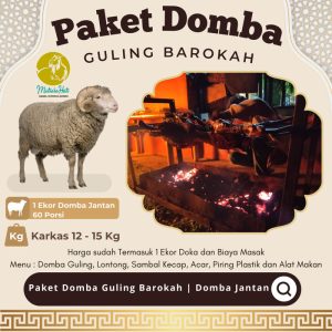 Paket Domba Guling Barokah | Domba Jantan
